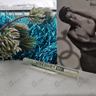 Парфюм Alyssa Ashley Musk