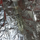 Отзыв Alyssa Ashley Musk