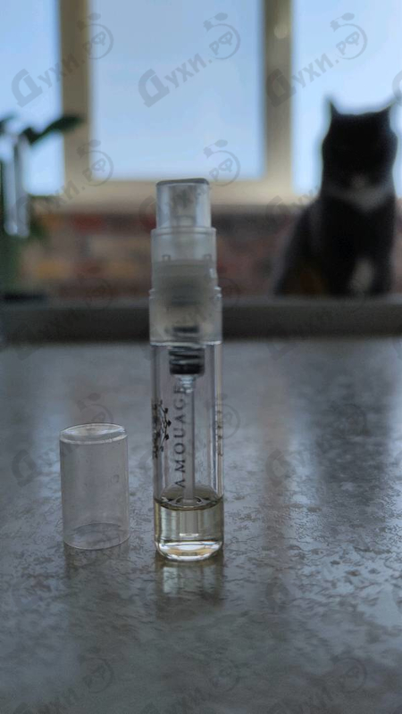 Купить Ciel от Amouage
