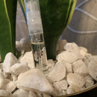 Духи Ciel от Amouage