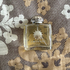 Купить Ciel от Amouage