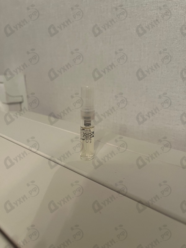 Купить Ciel от Amouage