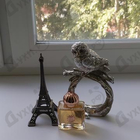 Отзывы Amouage Dia