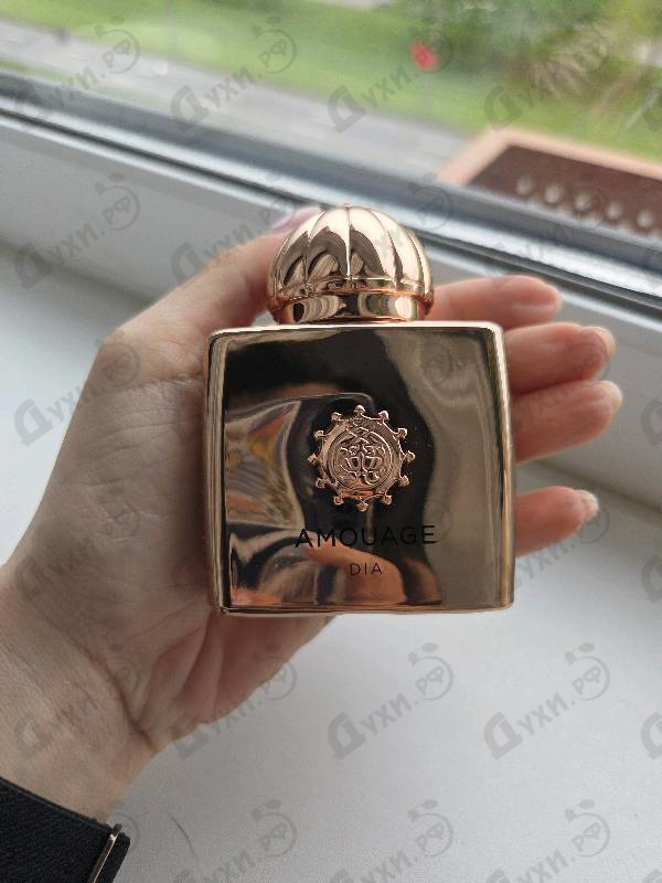 Купить Dia от Amouage