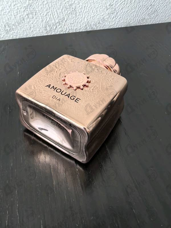 Купить Dia от Amouage