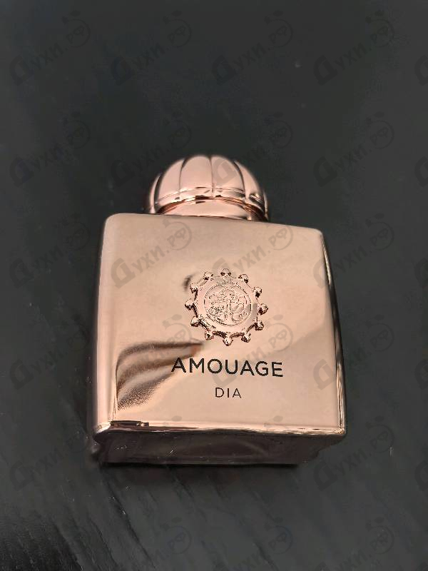 Купить Dia от Amouage