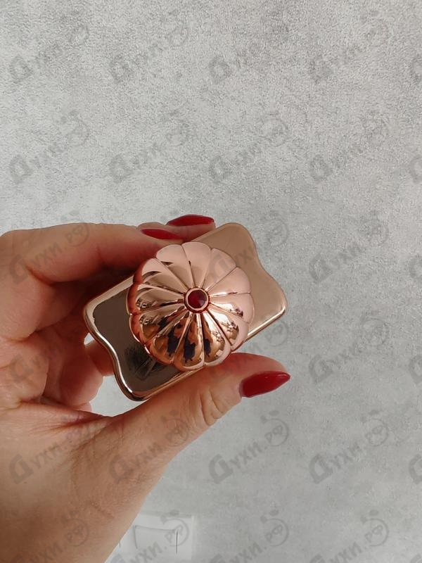 Отзывы Amouage Dia