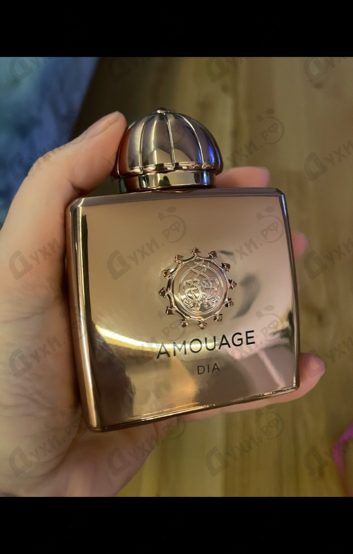 Купить Dia от Amouage