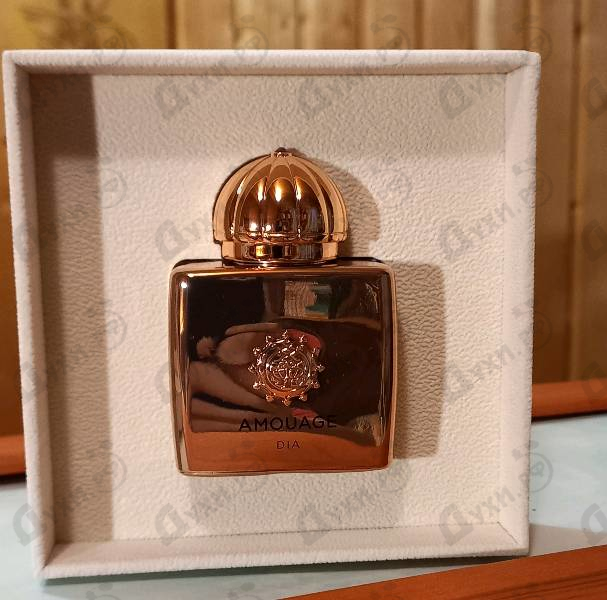Купить Dia от Amouage
