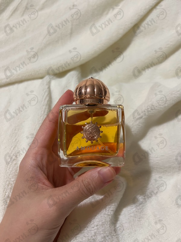 Купить Dia от Amouage