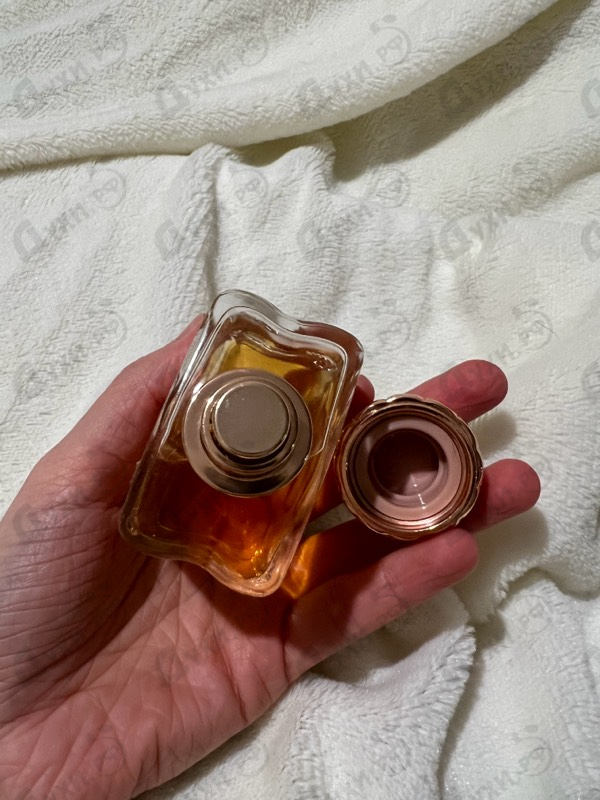 Парфюмерия Dia от Amouage