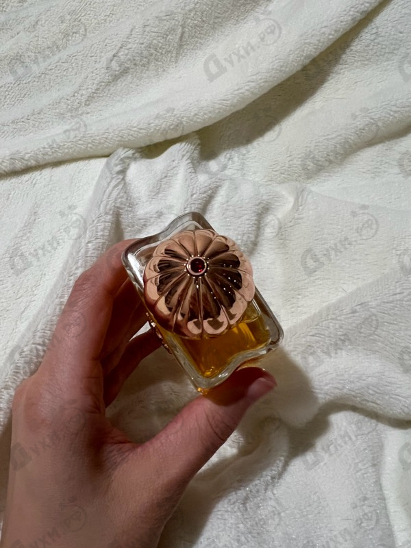 Духи Dia от Amouage