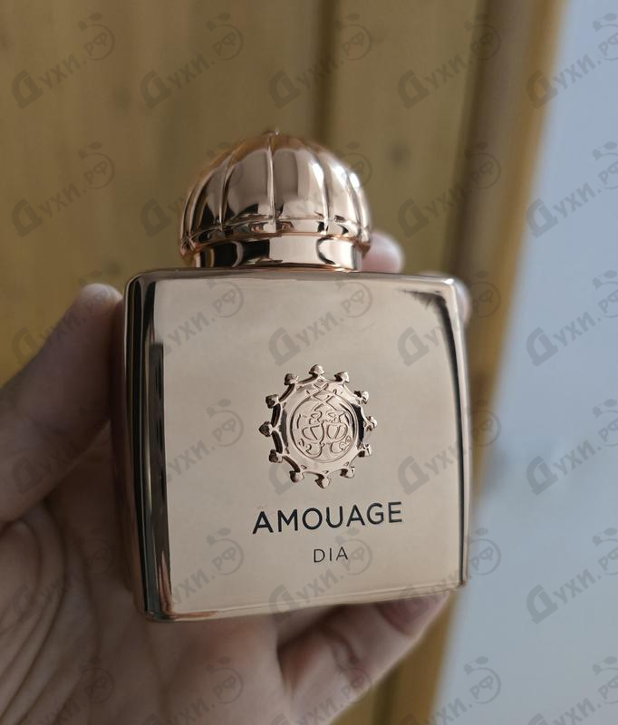 Парфюмерия Dia от Amouage