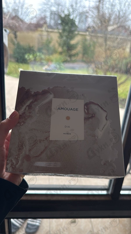 Отзыв Amouage Dia