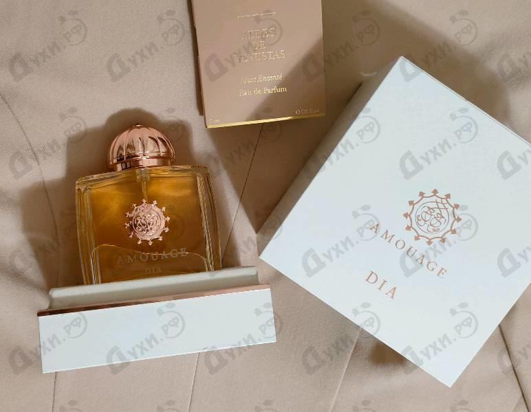 Купить Amouage Dia