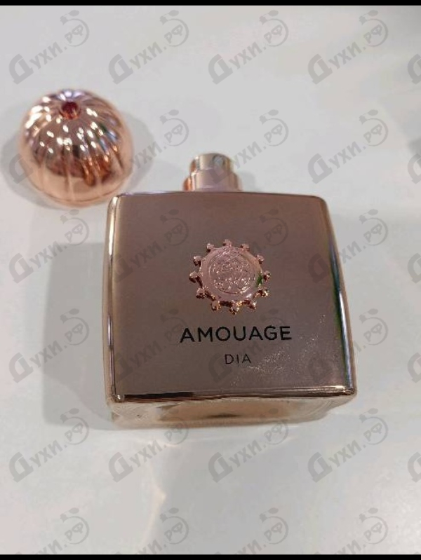 Отзыв Amouage Dia