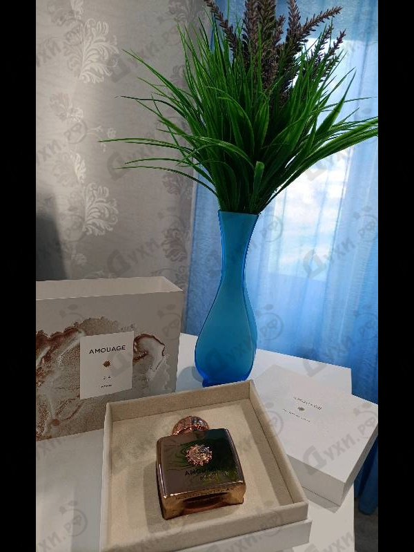 Купить Dia от Amouage