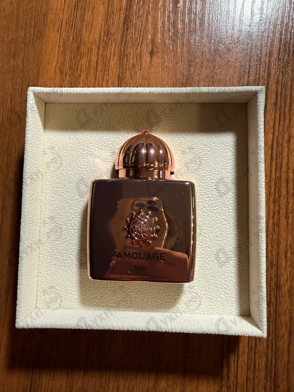 Отзывы Amouage Dia