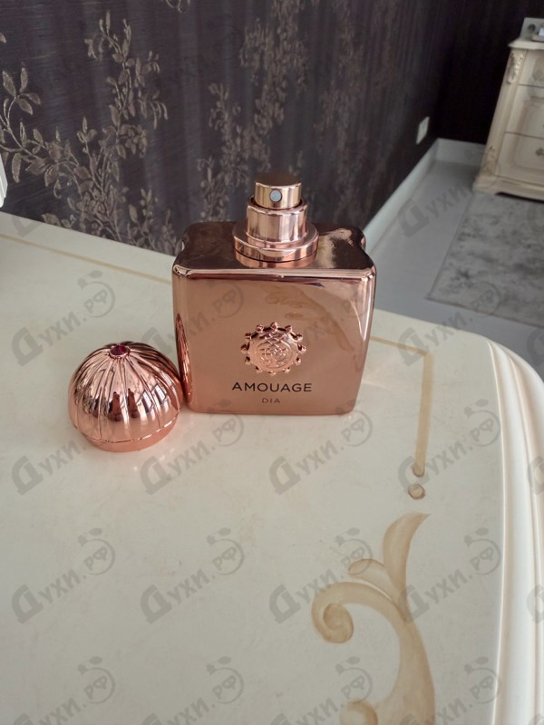 Отзывы Amouage Dia