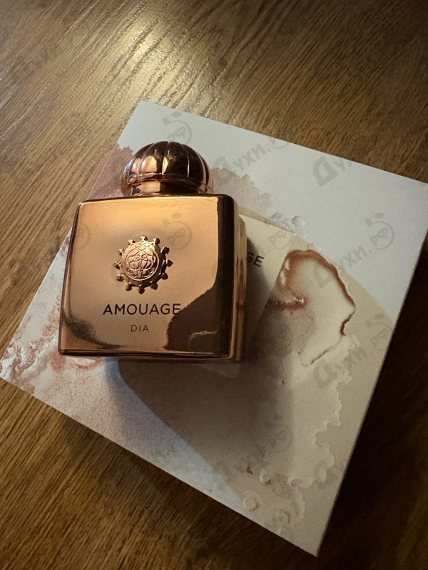 Купить Dia от Amouage