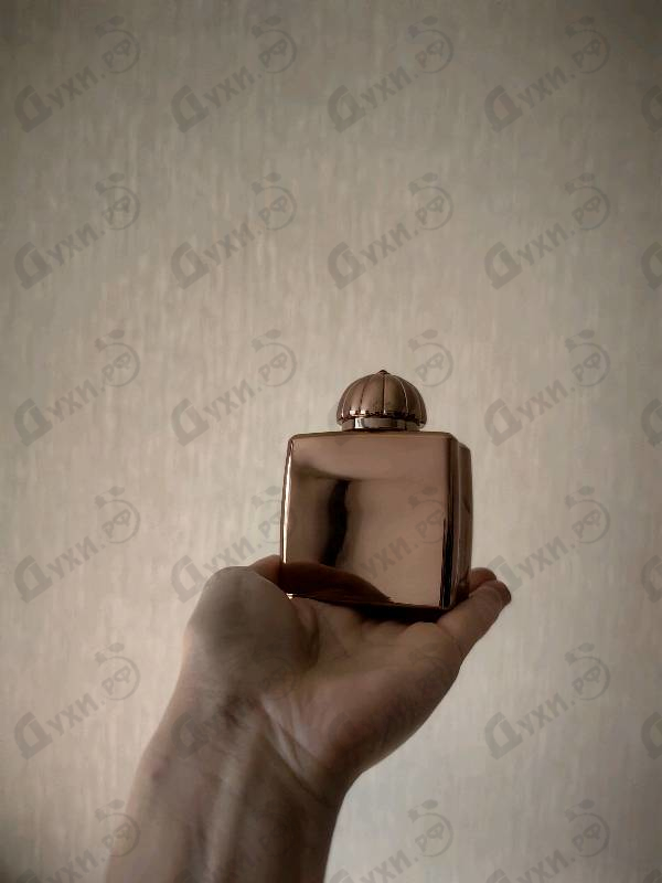 Купить Dia от Amouage