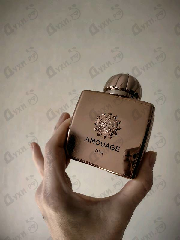 Духи Dia от Amouage