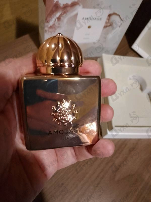 Купить Dia от Amouage