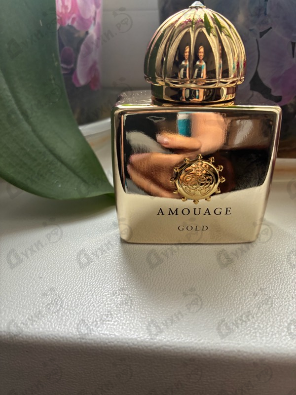 Купить Gold от Amouage