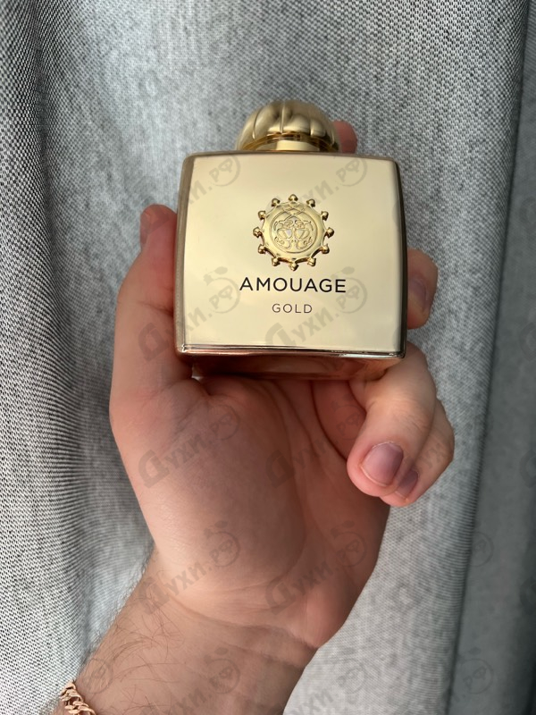 Купить Gold от Amouage