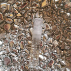 Отзывы Amouage Reflection