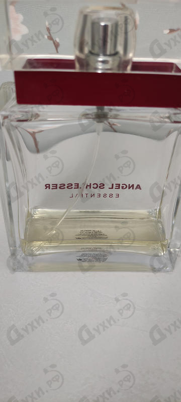 Отзыв Angel Schlesser Essential