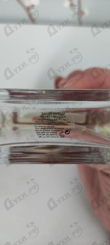 Отзыв Angel Schlesser Essential