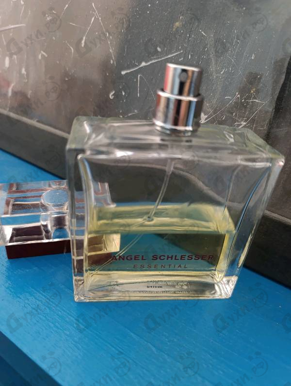 Купить Essential от Angel Schlesser