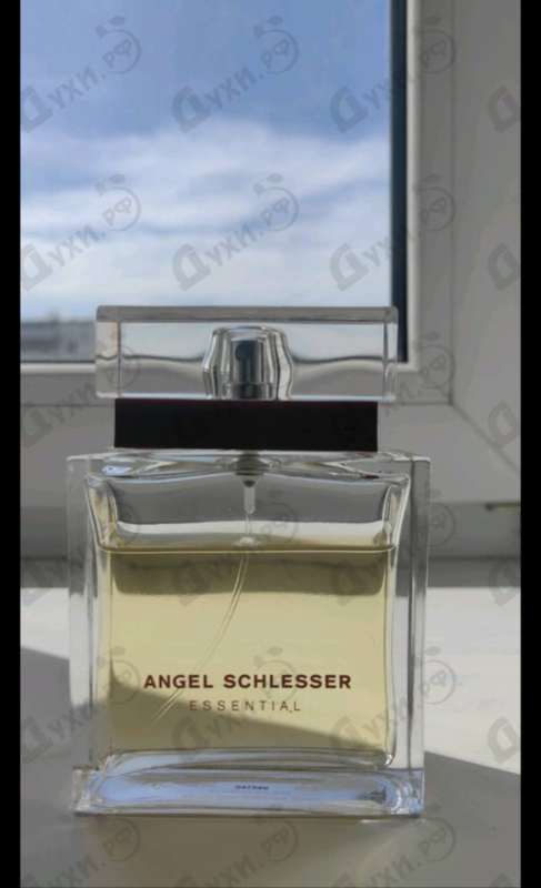 Купить Angel Schlesser Essential