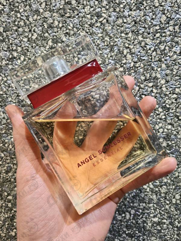 Парфюмерия Angel Schlesser Essential