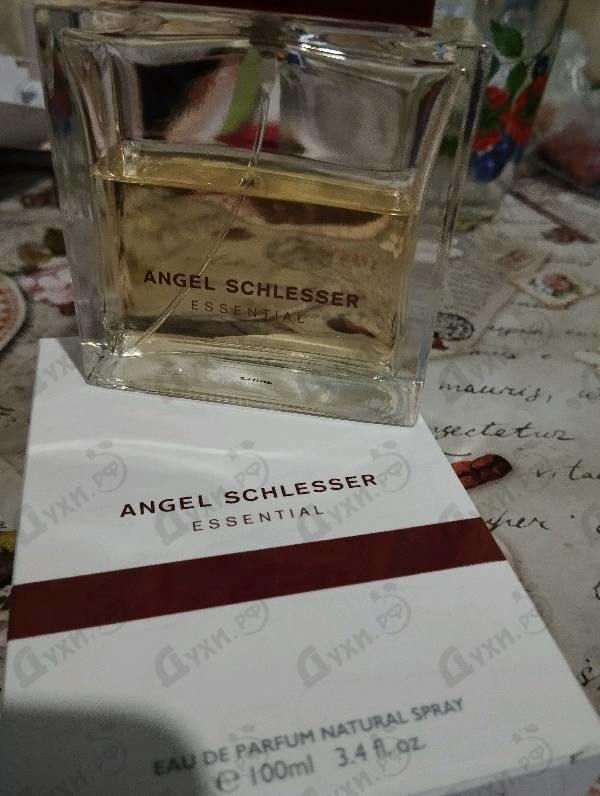 Купить Angel Schlesser Essential