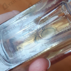 Отзыв Angel Schlesser Essential