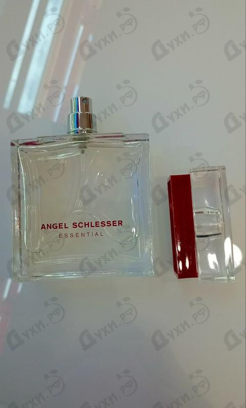 Купить Essential от Angel Schlesser