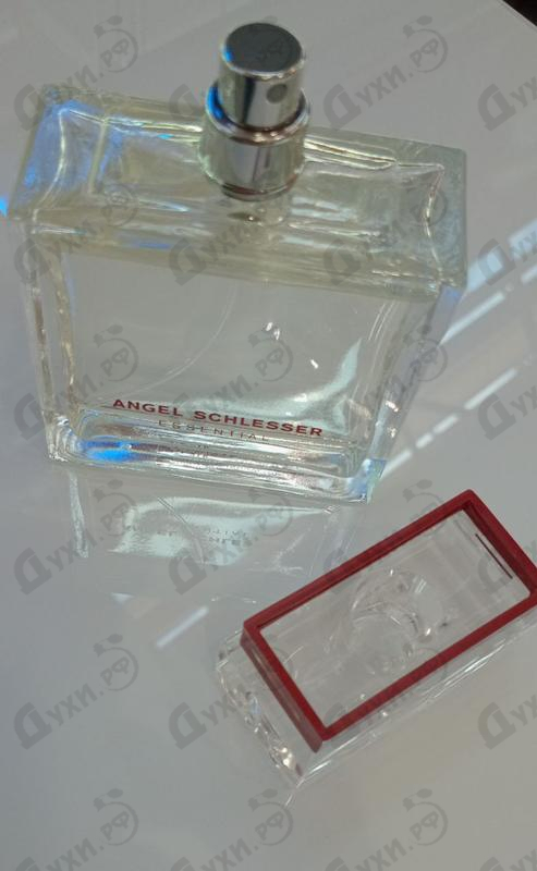 Купить Essential от Angel Schlesser