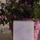 Отзывы Angel Schlesser Women