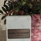 Отзыв Angel Schlesser Women