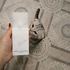 Парфюм Angel Schlesser Women