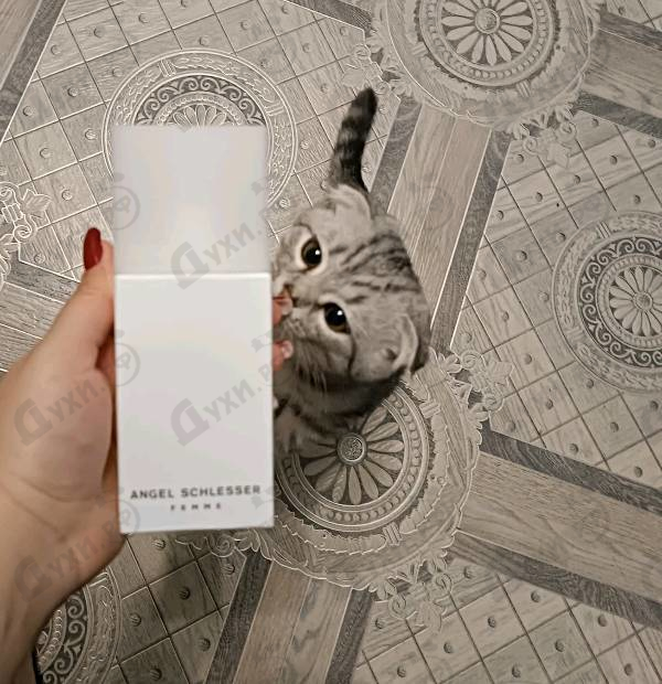 Духи Women от Angel Schlesser