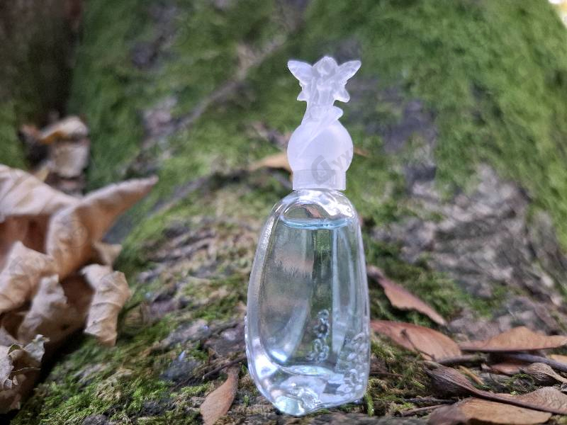 Отзывы Anna Sui Secret Wish