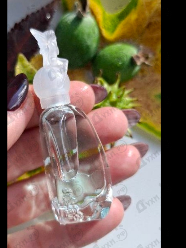 Купить Secret Wish от Anna Sui