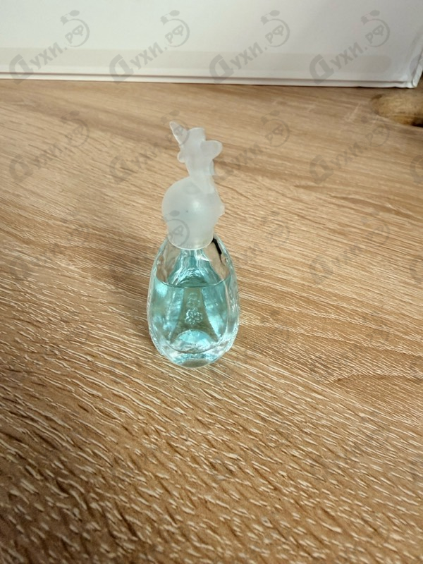 Парфюмерия Anna Sui Secret Wish