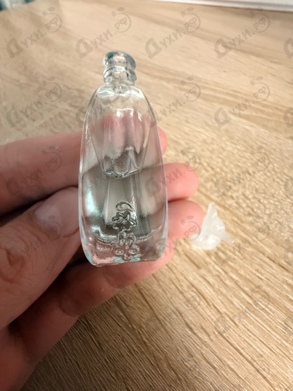 Купить Anna Sui Secret Wish