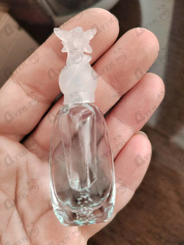 Купить Secret Wish от Anna Sui