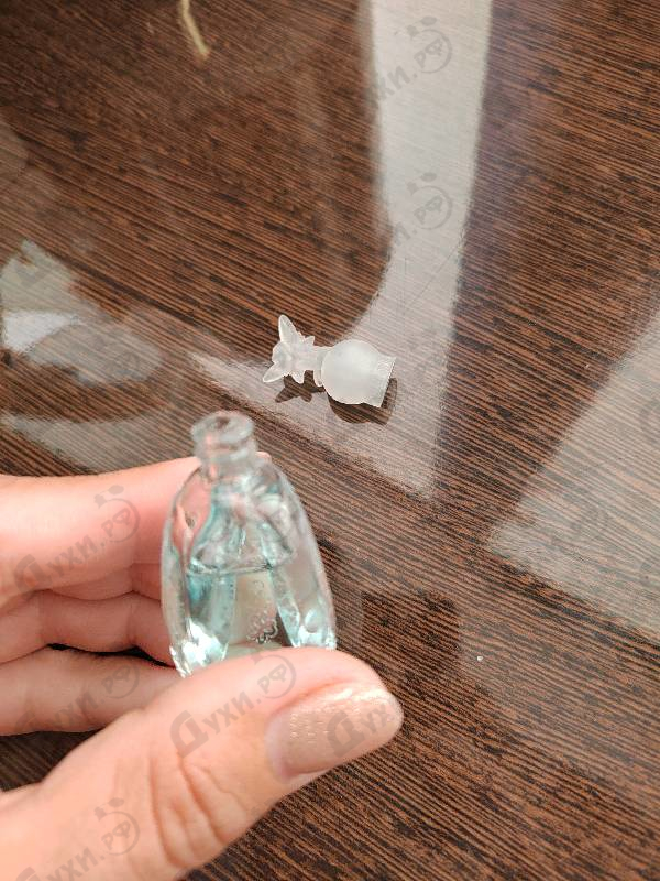 Купить Anna Sui Secret Wish