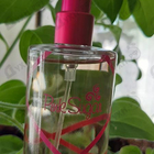 Отзыв Aquolina Pink Sugar